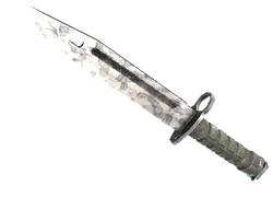 ★ Bayonet | Stained