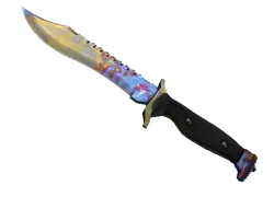 ★ Bowie Knife | Case Hardened