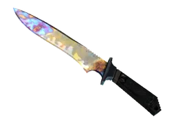 ★ Classic Knife | Case Hardened