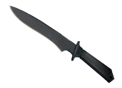 ★ Classic Knife | Night Stripe