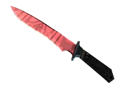 ★ Classic Knife | Slaughter