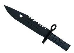 ★ M9 Bayonet | Night