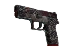 P250 | Facility Draft