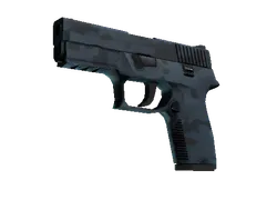 P250 | Forest Night