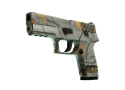 P250 | Modern Hunter