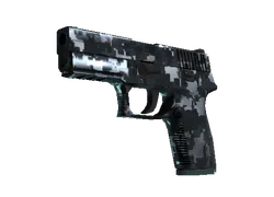 P250 | Steel Disruption