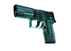 P250 | X-Ray