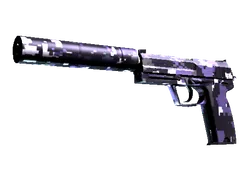 USP-S | Purple DDPAT